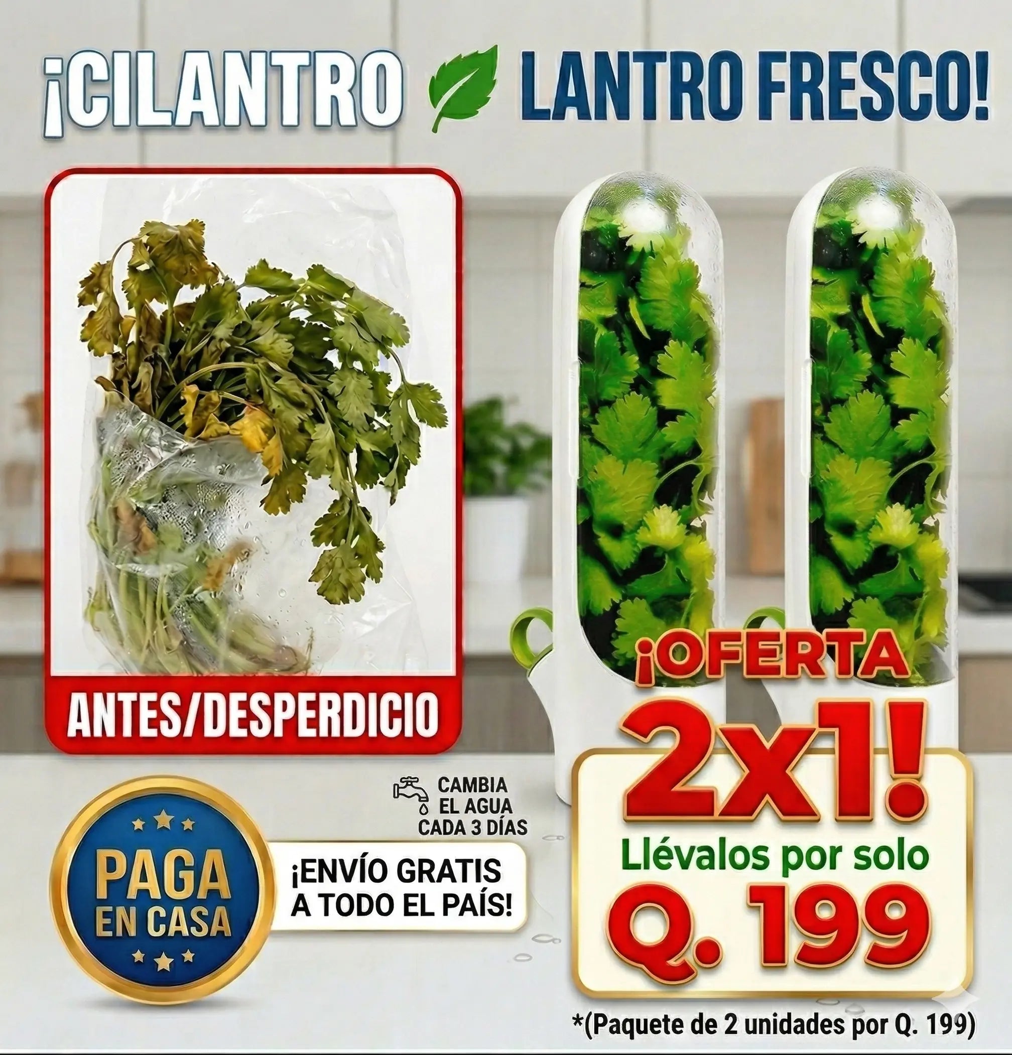 Guardacilantro Fresco Fácil y Duradero