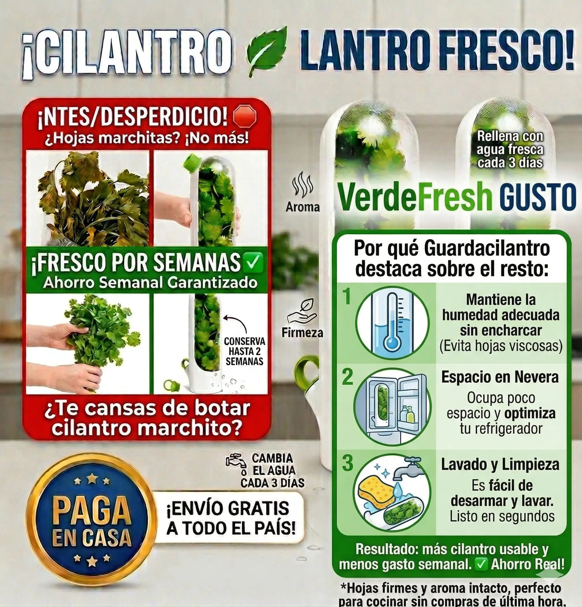 Guardacilantro Fresco Fácil y Duradero