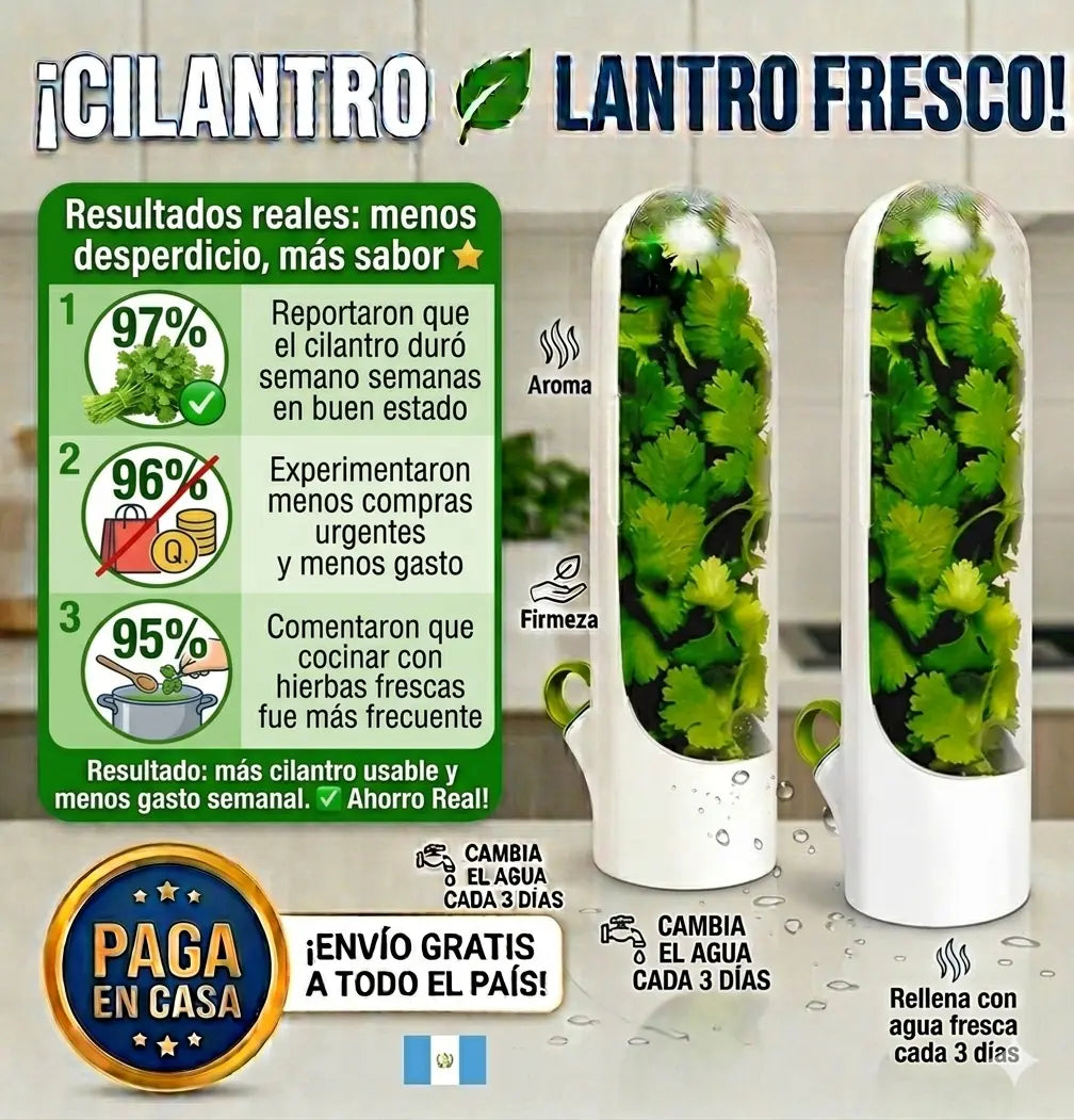 Guardacilantro Fresco Fácil y Duradero